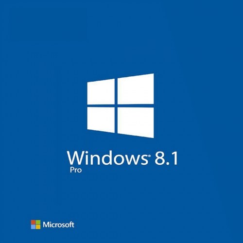 WINDOWS 8.1 LOGO-100